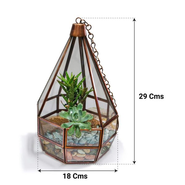 Cone Tower Terrarium - Image 4