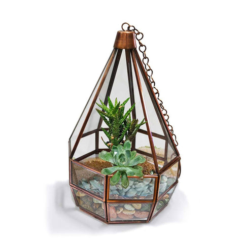 Cone Tower Terrarium