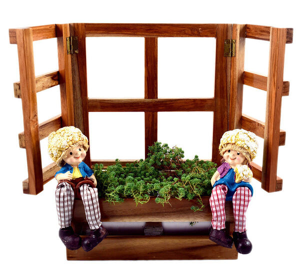 Hanging Window Planter