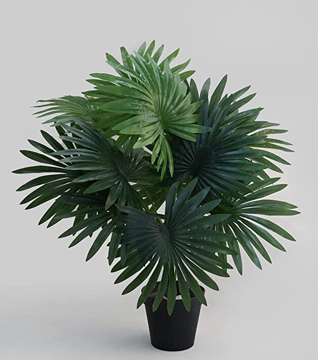 Blooming Floret Artificial Palm Plant for Home Decor/Office Decor/Gifting | 12 Leaves | with Basic Black Pot | Natural Looking Indoor Plant